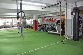 velocity sports nyc turf