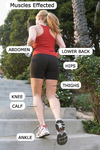 stairClimbingexercise