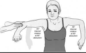 shoulder internal rotation