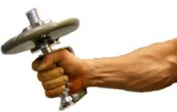 forearm