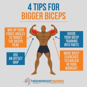 bigger biceps tips